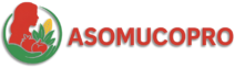 cropped cropped c logo ok.png